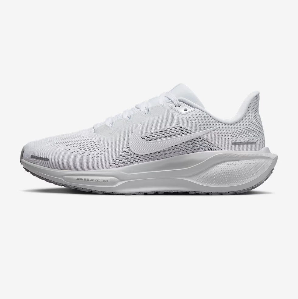 Pegasus 41